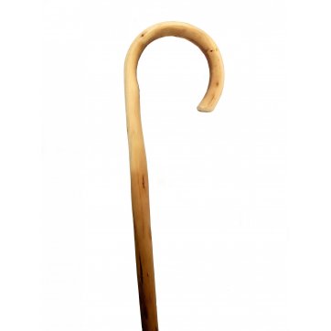 Wooden Art Curved Walking Stick